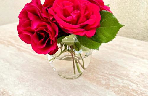 Dalmatian House, spacious stone terraces, balcony , views - Foto 46