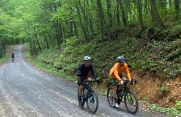 3BR Pet Friendly Cottage Mathias WV - Foto 48