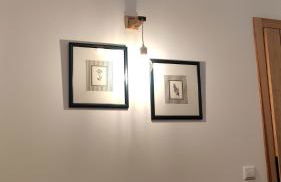 LARANJEIRA das LOIRAS - Foto 21