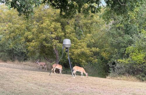 Gorgeous 10 Acre Estate POOL HOT TUB GAME ROOM - Foto 1