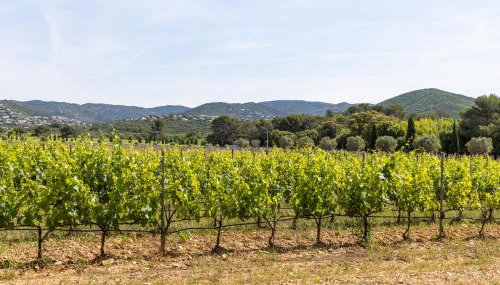 Appartement au Château Maravenne - Foto 5