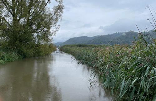 Ferienwohnung Geng - Foto 20