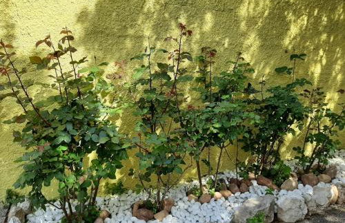 Artistika Golden Apartment - Foto 11