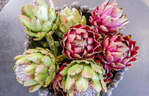 Forest Lodge - Foto 11