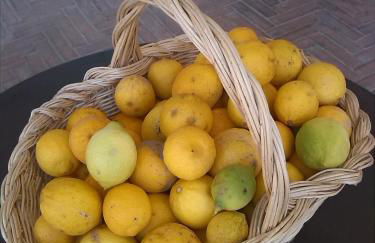 Agriturismo Villa Buoninsegna - Foto 21