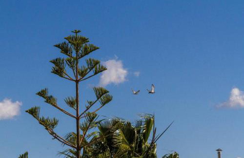 Like Home Luxury House, near Archaeological Museum - Foto 45