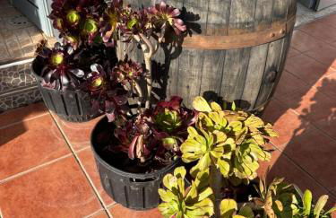 Apartamento Fortaleza - Foto 32