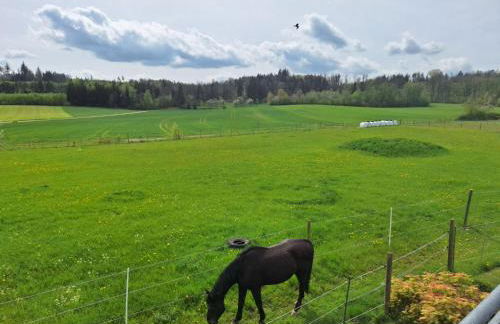 Gästehaus Plath - Foto 70