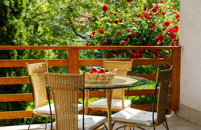 Violetta 3 - Foto 14