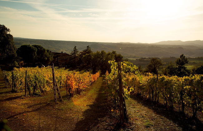 Le Roghete - Photo 35