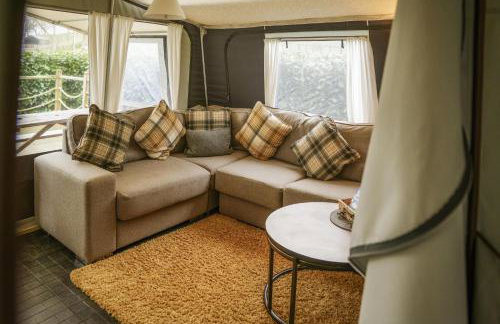 King Fisher - Foto 25