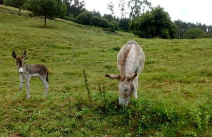 La Casa de Consuelo 3 - Foto 38
