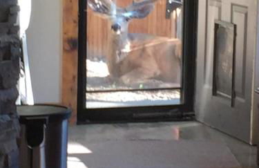 Morrison Colorado Mountain Getaway - Red Rocks - Foto 26