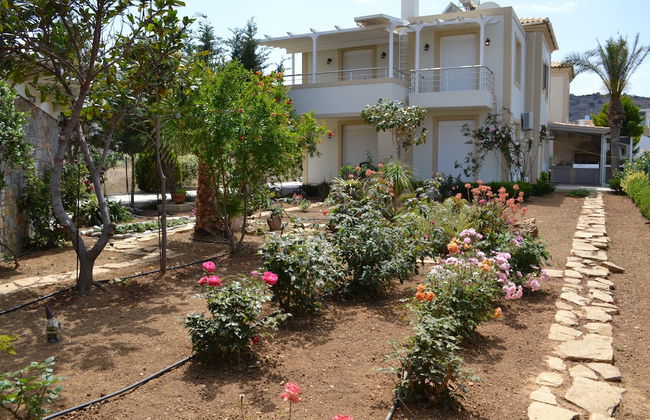 Villa Elena - Photo 31