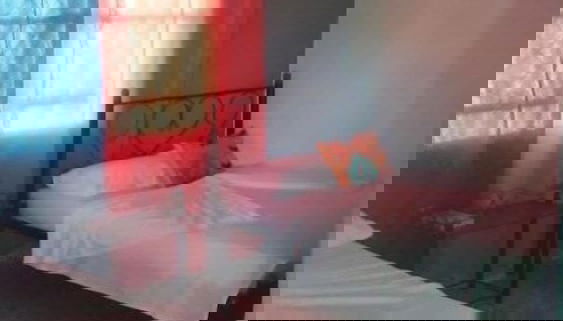 Holiday rental in Viñales with garden and terrace - Photo 5