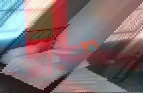 Holiday rental in Viñales with garden and terrace - Photo 5