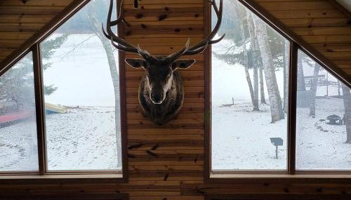 Bayview 1 Cabin - Foto 3