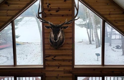 Bayview 1 Cabin - Foto 3