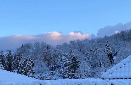 Fewo Rheinwein 1 "ausgezeichnet zum wandern und radfahren" mit Wallbox - Foto 26