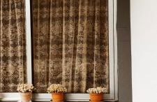 Peaceful place in São Vicente - Foto 48