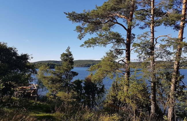 4 Person Holiday Home in Horn - Foto 29