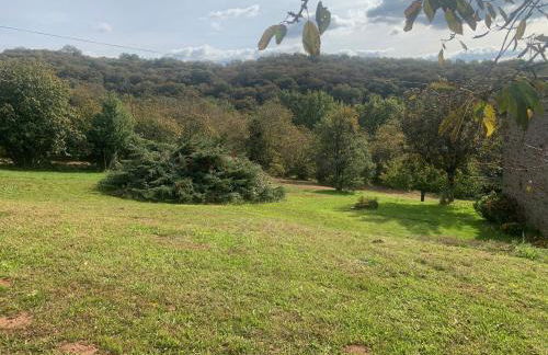 Le paradis des châtaigniers - Photo 8