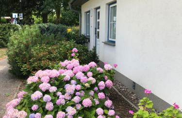 Ostsee Apartments Salzhaff - Photo 25