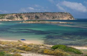 Ale house experience - Foto 47