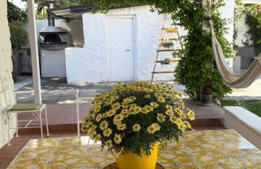 Villa Avvocato Catapano - Photo 65