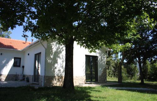 Quinta das Pedrosas - Foto 20