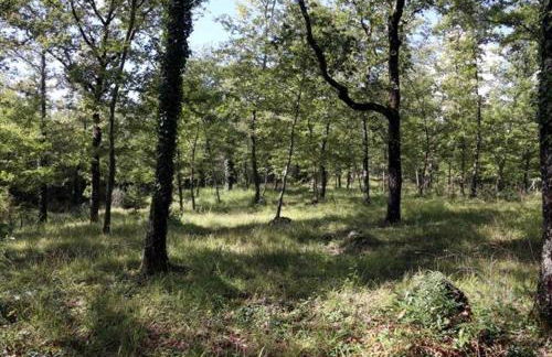 La Dimora di Teresa - Photo 47