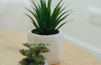 Cocon Urbain Refait À Neuf - Climatisation - Photo 13