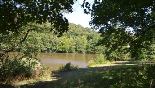 Frankenau Fewo Kellerwald - Photo 2