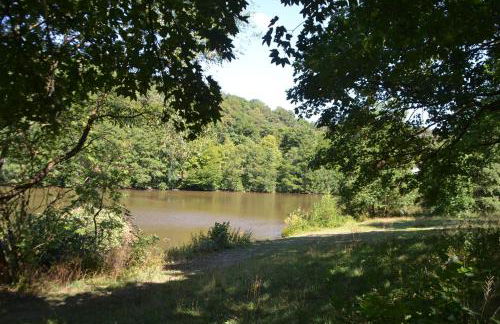 Frankenau Fewo Kellerwald - Foto 2