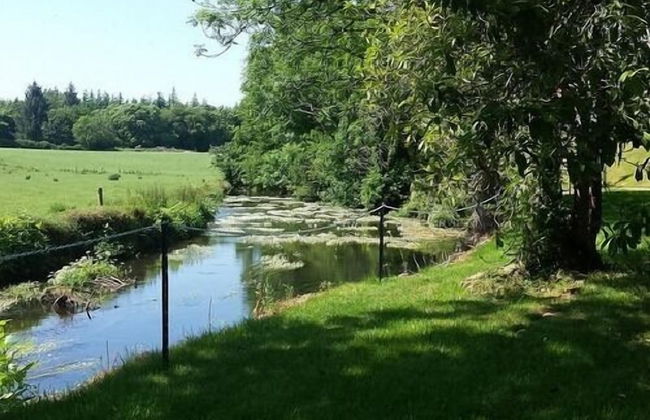 Wilton Castle - Foto 21