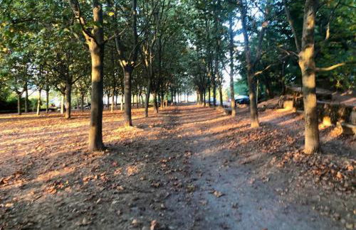 El Rinconcito de Bejar - Photo 41