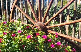 Gite La Grangette de Pauline - Foto 7