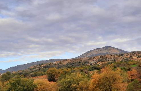 Corral de l'esquirol - Foto 45