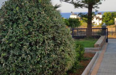 Angelika Apartotel - Foto 16