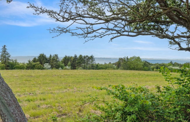 "Althea" - 750m to the fjord - Foto 22