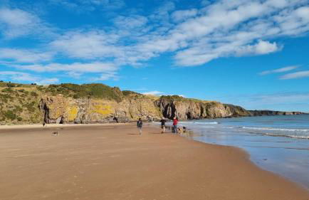 Wester Den - Photo 35