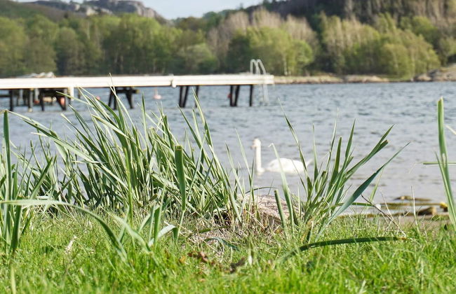 4 Person Holiday Home in Bovallstrand-by Traum - Foto 23