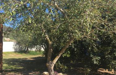 Residence Cort'e Accas - Foto 37