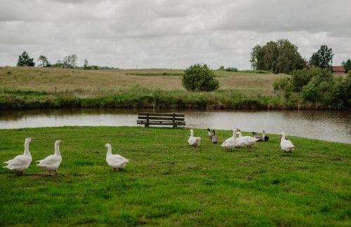Brzozowa Polana - Foto 39