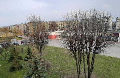 Family Suite Świecie - Foto 20