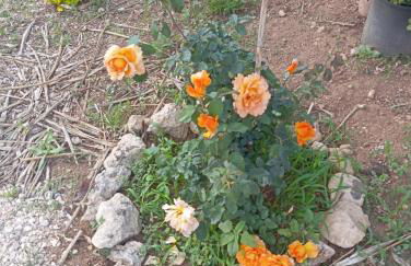 Casolare Giardino Aiarella-Assunta - Foto 45