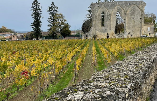 Les 2 Glycines - Photo 14