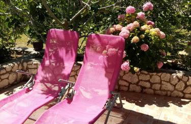 Apartmani Gero - Photo 29