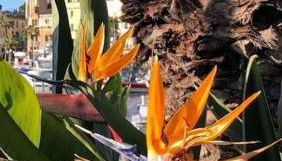 emplacement idéal, vue mer, parking offert - Foto 5