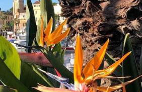 emplacement idéal, vue mer, parking offert - Foto 5